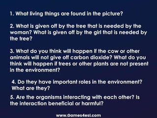 1. What living things are found in the picture?
2. What is given off by the tree that is needed by the
woman? What is given off by the girl that is needed by
the tree?
3. What do you think will happen if the cow or other
animals will not give off carbon dioxide? What do you
think will happen if trees or other plants are not present
in the environment?
4. Do they have important roles in the environment?
What are they?
5. Are the organisms interacting with each other? Is
the interaction beneficial or harmful?
 