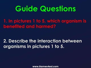 Guide Questions
1. In pictures 1 to 5, which organism is
benefited and harmed?
2. Describe the interaction between
organisms in pictures 1 to 5.
 