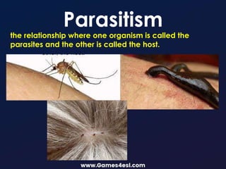 Parasitism
the relationship where one organism is called the
parasites and the other is called the host.
 