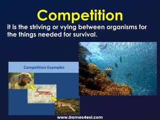 Competition
it is the striving or vying between organisms for
the things needed for survival.
 