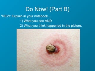 Do Now! (Part B)
*NEW: Explain in your notebook…
           1) What you see AND
           2) What you think happened in the picture.
 