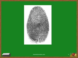 theaviationnation.com4