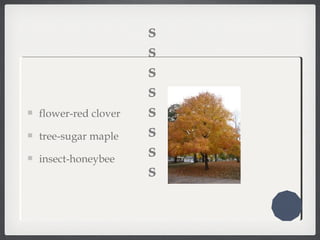 s
s
s
s
s
s
s
s
flower-red clover
tree-sugar maple
insect-honeybee
 