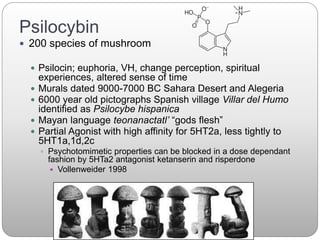 Psilocybin
 200 species of mushroom
 Psilocin; euphoria, VH, change perception, spiritual
experiences, altered sense of time
 Murals dated 9000-7000 BC Sahara Desert and Alegeria
 6000 year old pictographs Spanish village Villar del Humo
identified as Psilocybe hispanica
 Mayan language teonanactatl’ “gods flesh”
 Partial Agonist with high affinity for 5HT2a, less tightly to
5HT1a,1d,2c
 Psychotomimetic properties can be blocked in a dose dependant
fashion by 5HTa2 antagonist ketanserin and risperdone
 Vollenweider 1998
 