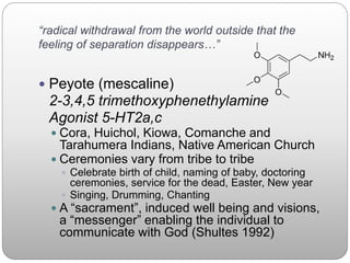“radical withdrawal from the world outside that the
feeling of separation disappears…”
 Peyote (mescaline)
2-3,4,5 trimethoxyphenethylamine
Agonist 5-HT2a,c
 Cora, Huichol, Kiowa, Comanche and
Tarahumera Indians, Native American Church
 Ceremonies vary from tribe to tribe
 Celebrate birth of child, naming of baby, doctoring
ceremonies, service for the dead, Easter, New year
 Singing, Drumming, Chanting
 A “sacrament”, induced well being and visions,
a “messenger” enabling the individual to
communicate with God (Shultes 1992)
 