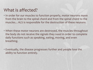 What is affected?
• In order for our muscles to function properly, motor neurons move
from the brain to the spinal chord and from the spinal chord to the
muscles…ALS is responsible for the destruction of these neurons.
• When these motor neurons are destroyed, the muscles throughout
the body do not receive the signals they need in order to complete
daily functions such as speaking, eating, moving, and even
breathing.
• Eventually, the disease progresses further and people lose the
ability to function entirely.
 