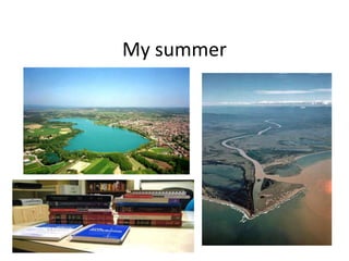 s My summer 