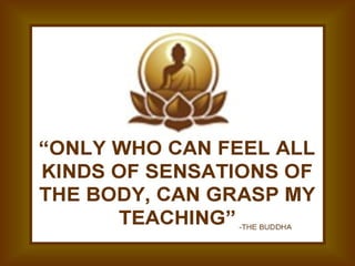 My teachings can be Grasped by vediyamana only  the buddha