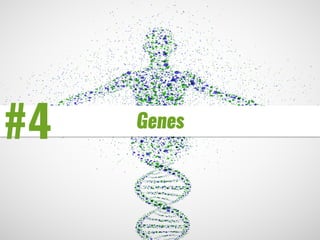 #4 Genes
 