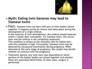  Myth: Eating twin bananas may lead to
Siamese twins
 Fact: Siamese twins are born with part of their bodies joined
together. It happens purely by chance and takes place during the
development of a single embryo.
In the majority of twin development, the embryo should separate
within 2 weeks after conception. For Siamese twins, this occurs
later and the embryo is not completely separated.
This condition is serious as the mortality rate for babies born
with this condition is high. Fortunately, Siamese twins may be
detected by ultrasound examination during pregnancy. When
detected at the early stage of pregnancy, the couple may decide
whether to continue with the pregnancy.
 Treatment options vary with each case depending on which
portions of the babies' bodies are joined together and whether
there are associated deformities. In most cases, surgery is
performed
 