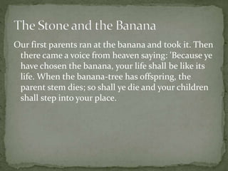 Our first parents ran at the banana and took it. Then
there came a voice from heaven saying: 'Because ye
have chosen the banana, your life shall be like its
life. When the banana-tree has offspring, the
parent stem dies; so shall ye die and your children
shall step into your place.
 