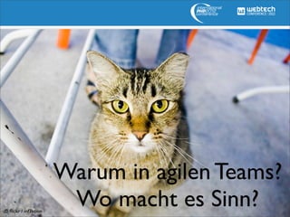 Warum in agilen Teams?
© ﬂickr / inf3ktion
                       Wo macht es Sinn?
 