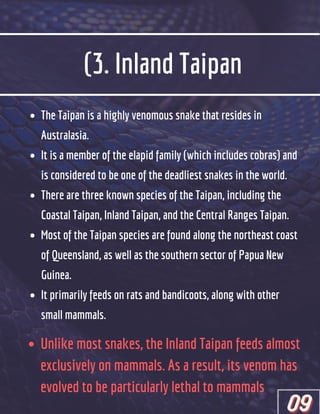 (3. Inland Taipan
The Taipan is a highly venomous snake that resides in
Australasia.
It is a member of the elapid family (which includes cobras) and
is considered to be one of the deadliest snakes in the world.
There are three known species of the Taipan, including the
Coastal Taipan, Inland Taipan, and the Central Ranges Taipan.
Most of the Taipan species are found along the northeast coast
of Queensland, as well as the southern sector of Papua New
Guinea.
It primarily feeds on rats and bandicoots, along with other
small mammals.
Unlike most snakes, the Inland Taipan feeds almost
Unlike most snakes, the Inland Taipan feeds almost
exclusively on mammals. As a result, its venom has
exclusively on mammals. As a result, its venom has
evolved to be particularly lethal to mammals
evolved to be particularly lethal to mammals
09
09
09
 