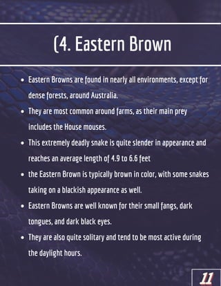 (4. Eastern Brown
Eastern Browns are found in nearly all environments, except for
dense forests, around Australia.
They are most common around farms, as their main prey
includes the House mouses.
This extremely deadly snake is quite slender in appearance and
reaches an average length of 4.9 to 6.6 feet
the Eastern Brown is typically brown in color, with some snakes
taking on a blackish appearance as well.
Eastern Browns are well known for their small fangs, dark
tongues, and dark black eyes.
They are also quite solitary and tend to be most active during
the daylight hours.
11
11
11
 
