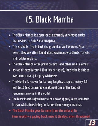 (5. Black Mamba
The Black Mamba is a species of extremely venomous snake
that resides in Sub-Saharan Africa.
This snake is live in both the ground as well as trees. As a
result, they are often found along savannas, woodlands, forests,
and rockier regions.
The Black Mamba often preys on birds and other small animals.
Its rapid speed (around 10 miles per hour), the snake is able to
overcome most of its prey with ease.
The Mamba is known for its long length, at approximately 6.6
feet to 10 feet on average, making it one of the longest
venomous snakes in the world.
The Black Mamba often maintains a color of grey, olive, and dark
brown, with adults being far darker than younger mambas.
The Black Mamba gets its name from the color of its
inner mouth—a gaping black maw it displays when threatened.
13
13
13
 