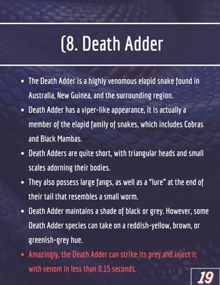 (8. Death Adder
The Death Adder is a highly venomous elapid snake found in
Australia, New Guinea, and the surrounding region.
Death Adder has a viper-like appearance, it is actually a
member of the elapid family of snakes, which includes Cobras
and Black Mambas.
Death Adders are quite short, with triangular heads and small
scales adorning their bodies.
They also possess large fangs, as well as a “lure” at the end of
their tail that resembles a small worm.
Death Adder maintains a shade of black or grey. However, some
Death Adder species can take on a reddish-yellow, brown, or
greenish-grey hue.
Amazingly, the Death Adder can strike its prey and inject it
with venom in less than 0.15 seconds.
19
19
19
 
