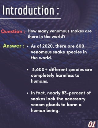 Question : How many venomous snakes are
there in the world?
Answer : As of 2020, there are 600
venomous snake species in
the world.
3,600+ different species are
completely harmless to
humans.
In fact, nearly 83-percent of
snakes lack the necessary
venom glands to harm a
human being.
01
01
01
 