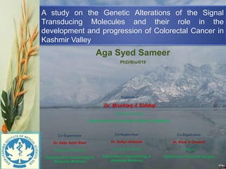 A study on the Genetic Alterations of the Signal
Transducing Molecules and their role in the
development and progression of Colorectal Cancer in
Kashmir Valley
Aga Syed Sameer
PhD/Bio/019
Co-Supervisor
Dr. Zafar Amin Shah
Additional Professor
Department of Immunology &
Molecular Medicine
Co-Supervisor
Dr. Safiya Abdullah
Associate Professor
Department of Immunology &
Molecular Medicine
Co-Supervisor
Dr. Nisar A Chowdri
Professor
Department of General Surgery
Supervisor
Dr. Mushtaq A Siddiqi
Professor & Head,
Department of Immunology & Molecular Medicine
 