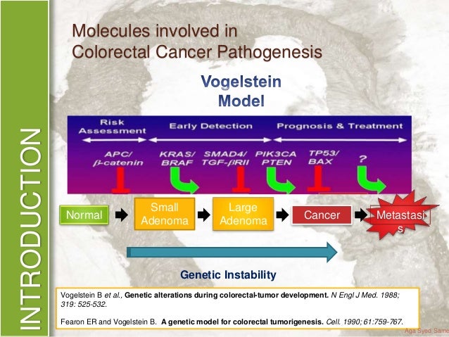Phd thesis on colorectal cancer