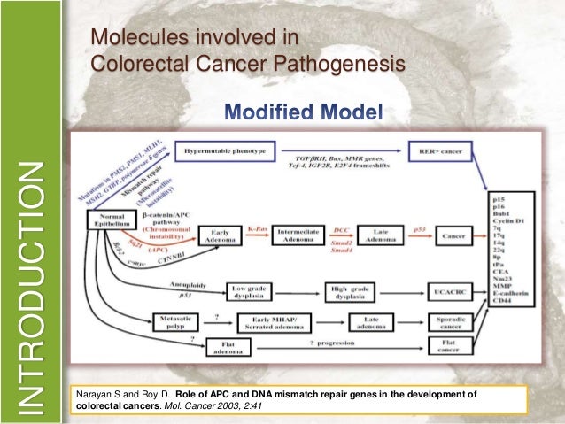 Colon cancer phd thesis