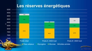 Les réserves énergétiques
    9200

    9000
                 100
    8800

    8600         500
                                                                           350
    8400                                      50
g




    8200                                     375                           250

    8000
                8333
    7800
                                             8022                          8078

    7600

    7400
            Poids initial             Poids A -3500 kcal            Poids B -3500 kcal
                 Tissu adipeux   Glycogène    Glucose      Acides aminés
 
