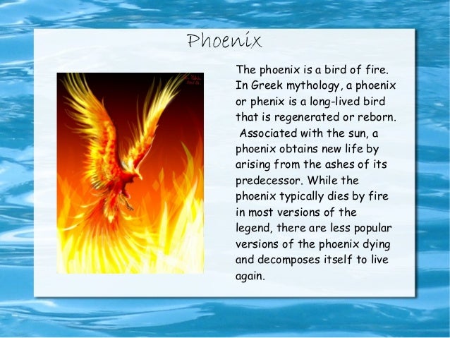 Phoenix Bird Facts For Kids Phoenix Bird Facts For Kids