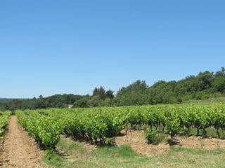 Mythical  Golfe de Saint Tropez