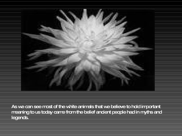Meaning of White Animals in Mythology