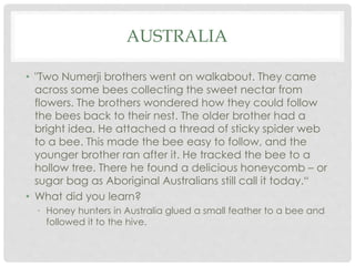 AUSTRALIA 
• "Two Numerji brothers went on walkabout. They came 
across some bees collecting the sweet nectar from 
flowers. The brothers wondered how they could follow 
the bees back to their nest. The older brother had a 
bright idea. He attached a thread of sticky spider web 
to a bee. This made the bee easy to follow, and the 
younger brother ran after it. He tracked the bee to a 
hollow tree. There he found a delicious honeycomb – or 
sugar bag as Aboriginal Australians still call it today.“ 
• What did you learn? 
• Honey hunters in Australia glued a small feather to a bee and 
followed it to the hive. 
 