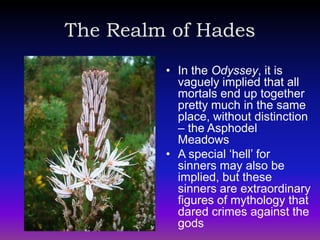 The Realm of Hades
         • In the Odyssey, it is
           vaguely implied that all
           mortals end up together
           pretty much in the same
           place, without distinction
           – the Asphodel
           Meadows
         • A special ‘hell’ for
           sinners may also be
           implied, but these
           sinners are extraordinary
           figures of mythology that
           dared crimes against the
           gods
 