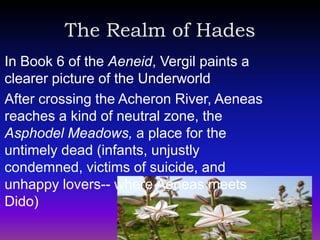 The Realm of Hades
In Book 6 of the Aeneid, Vergil paints a
clearer picture of the Underworld
After crossing the Acheron River, Aeneas
reaches a kind of neutral zone, the
Asphodel Meadows, a place for the
untimely dead (infants, unjustly
condemned, victims of suicide, and
unhappy lovers-- where Aeneas meets
Dido)
 