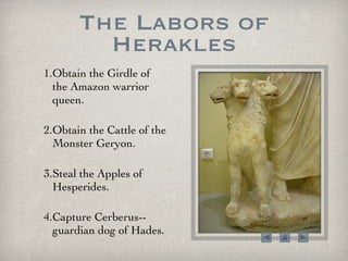 The Labors of Herakles Obtain the Girdle of the Amazon warrior queen. Obtain the Cattle of the Monster Geryon. Steal the Apples of Hesperides. Capture Cerberus--guardian dog of Hades. 