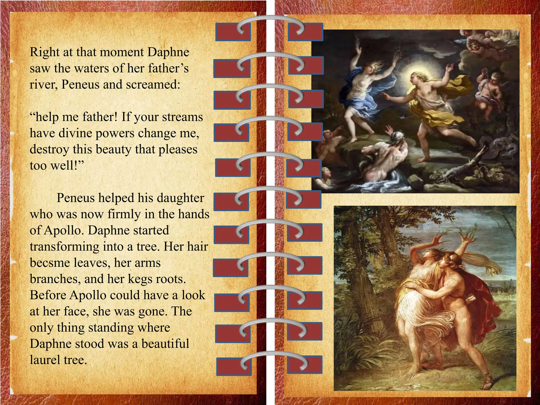 Right at that moment Daphne
saw the waters of her father’s
river, Peneus and screamed:
“help me father! If your streams
have divine powers change me,
destroy this beauty that pleases
too well!”
Peneus helped his daughter
who was now firmly in the hands
of Apollo. Daphne started
transforming into a tree. Her hair
becsme leaves, her arms
branches, and her kegs roots.
Before Apollo could have a look
at her face, she was gone. The
only thing standing where
Daphne stood was a beautiful
laurel tree.
 