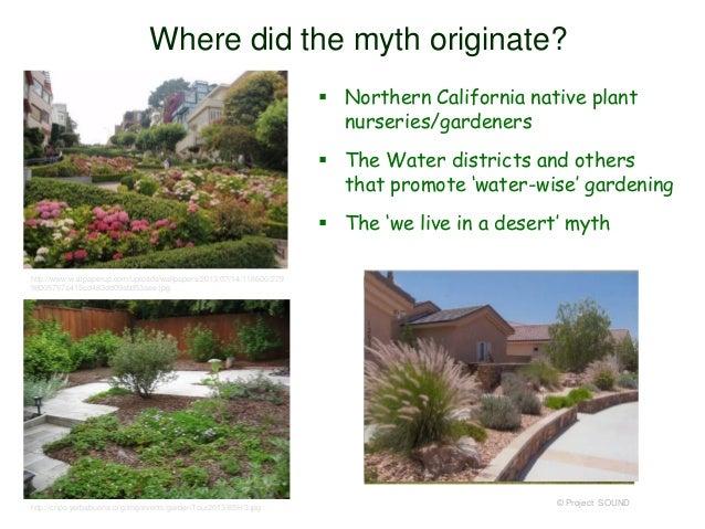 california native plant myths 2014