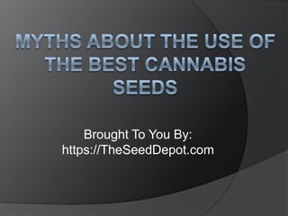 Brought To You By:
https://TheSeedDepot.com
 