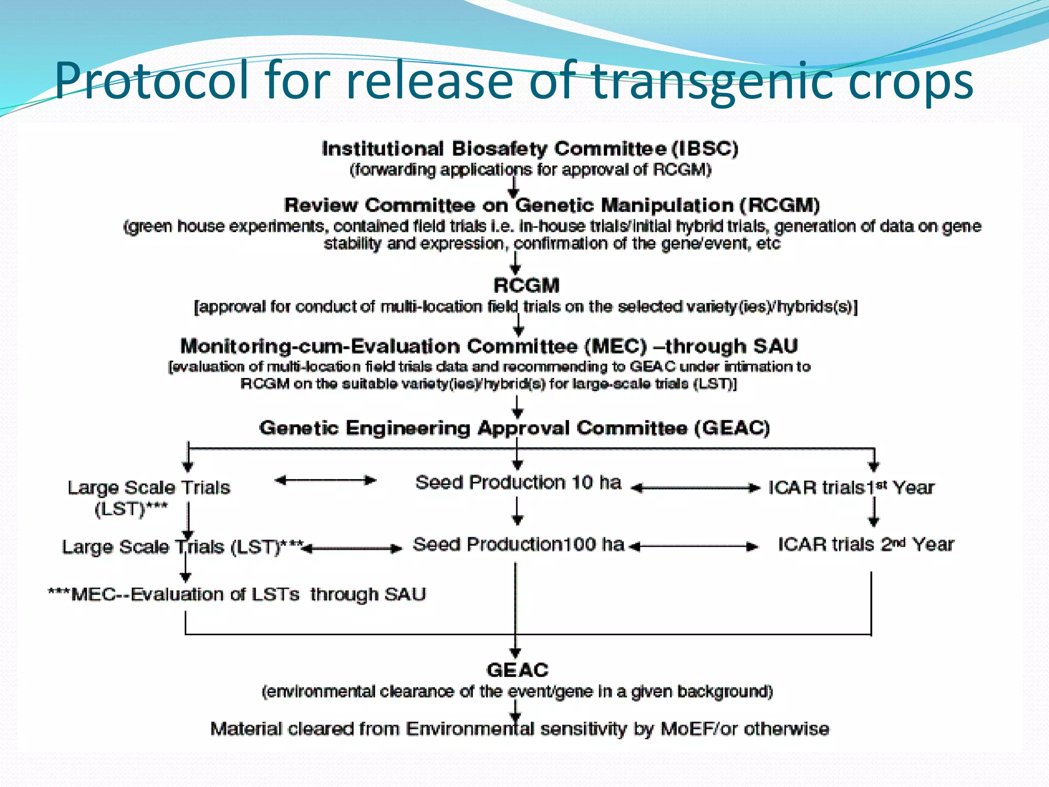 Protocol for release of transgenic crops
 