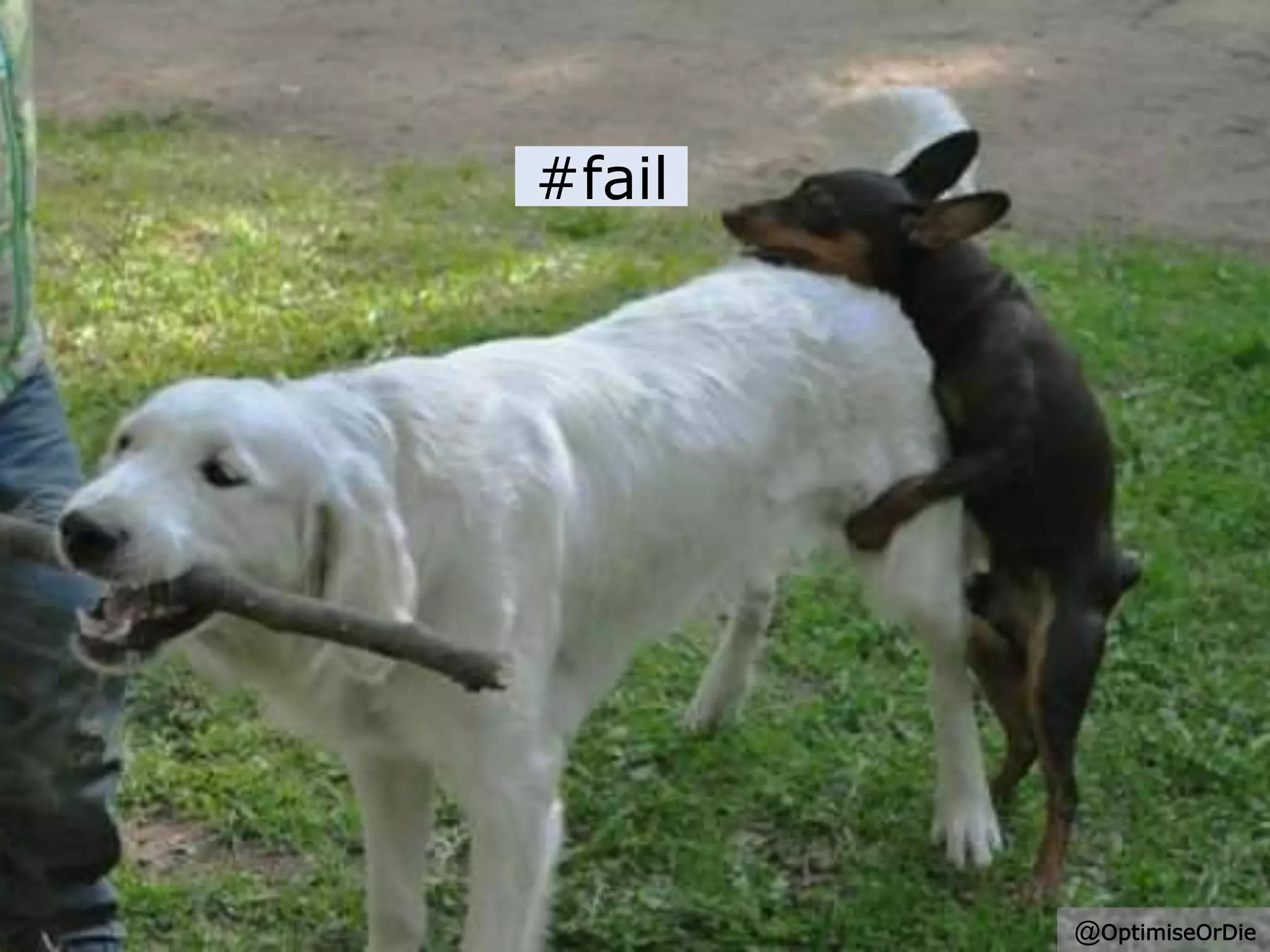 #fail
@OptimiseOrDie
 