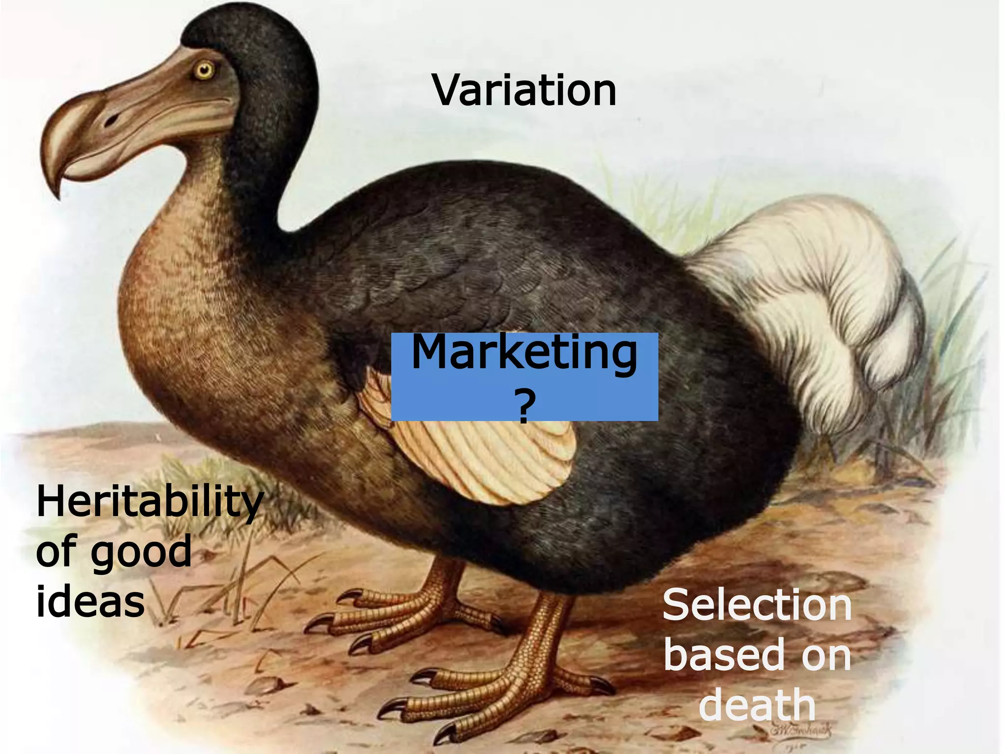 Marketing
?
Variation
Heritability
of good
ideas Selection
based on
death
 