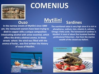 COMENIUS
Ouzo

Mytilini Sardines

In the narrow streets of Mytilini since 1800
The nutritional value is very high since it is rich in
yet, the restaurant owners have been trying to
phosphorus, sodium, iron, vitamin A, calcium,
Omega 3 fatty acids. The homeland of sardines is
distil in copper stills a unique composition
intoxicating alcohol with anise essential, which Mytilini! A total of about five hundred families
,professional fishermen , live from the marine
offers the drink a distinct aroma. In these
wealth of the closed sea Kalloni.
streets where the wind was filled with the
aroma of herbs , was first written the history
of ouzo of Mytilini.

 