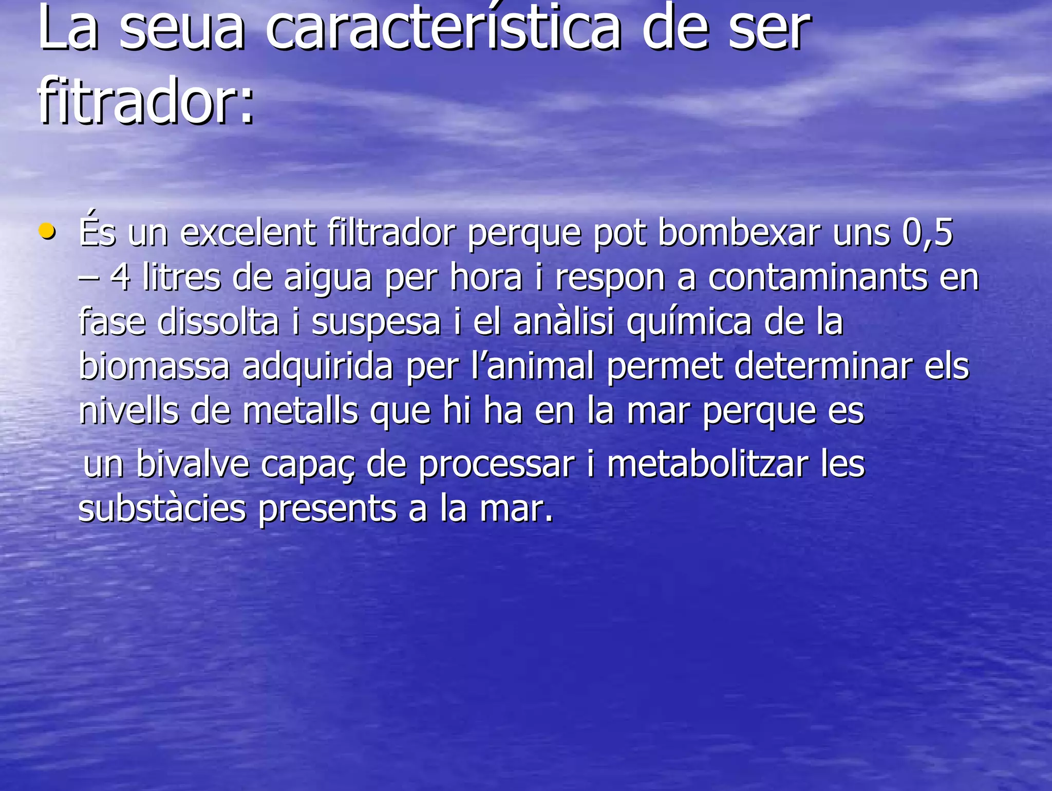 Mytilus galloprovincialis