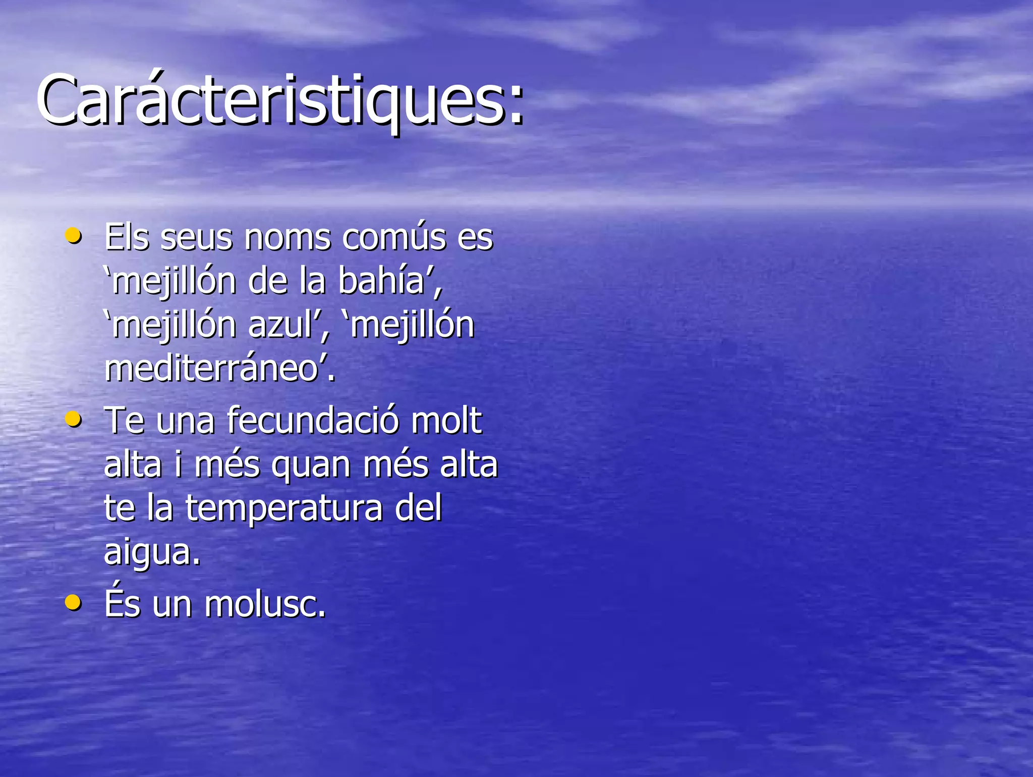 Mytilus galloprovincialis