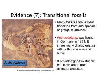 Evolution and Biodiversity,Genetics,Digestive System,Ecosystem | PPTX