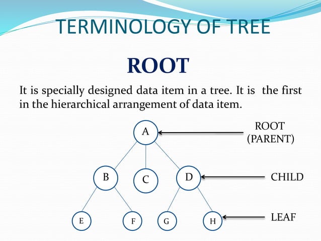Tree in data structure | PPTX