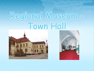 Regional Museum - 
Town Hall 
 