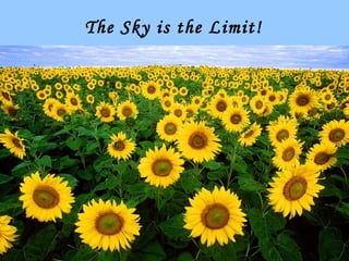 The Sky is the Limit! 