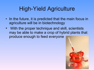 High-Yield Agriculture In the future, it is predicted that the main focus in agriculture will be in biotechnology With the proper technique and skill, scientists may be able to make a crop of hybrid plants that produce enough to feed everyone 