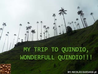 MY TRIP TO QUINDIO,
WONDERFULL QUINDIO!!!
BY: NICOLÁS QUESADA 5E
 