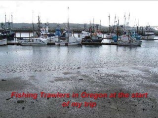 Fishing Trawlers in Oregon at the start of my trip 