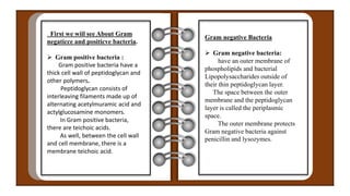 First we wiil see About Gram
negaticce and positicve bacteria.
 Gram positive bacteria :
Gram positive bacteria have a
thick cell wall of peptidoglycan and
other polymers.
Peptidoglycan consists of
interleaving filaments made up of
alternating acetylmuramic acid and
actylglucosamine monomers.
In Gram positive bacteria,
there are teichoic acids.
As well, between the cell wall
and cell membrane, there is a
membrane teichoic acid.
Gram negative Bacteria
 Gram negative bacteria:
have an outer membrane of
phospholipids and bacterial
Lipopolysaccharides outside of
their thin peptidoglycan layer.
The space between the outer
membrane and the peptidoglycan
layer is called the periplasmic
space.
The outer membrane protects
Gram negative bacteria against
penicillin and lysozymes.
 