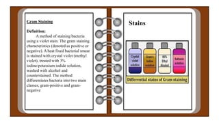 Gram Staining
Definition:
A method of staining bacteria
using a violet stain. The gram staining
characteristics (denoted as positive or
negative). A heat fixed bacterial smear
is stained with crystal violet (methyl
violet), treated with 3%
iodine/potassium iodide solution,
washed with alcohol and
counterstained. The method
differentiates bacteria into two main
classes, gram-positive and gram-
negative
Stains
 
